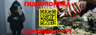 прущие грибы Нальчик