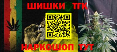 прущие грибы Нальчик