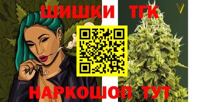 прущие грибы Нальчик