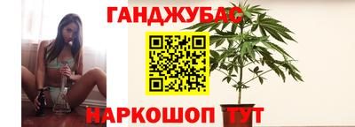 прущие грибы Нальчик