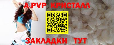 прущие грибы Нальчик